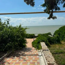 image-2-1